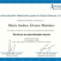 Ampliar imagen: certificate 3
