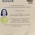 Ampliar imagen: certificate 16