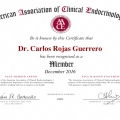 Ampliar imagen: certificate 6