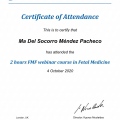 Ampliar imagen: certificate 11