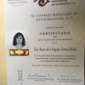 Ampliar imagen: certificate 2