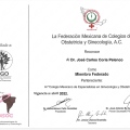 Ampliar imagen: certificate 5