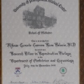 Ampliar imagen: certificate 5