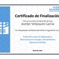 Ampliar imagen: certificate 11