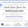 Ampliar imagen: certificate 14