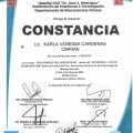 Ampliar imagen: certificate 28