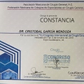 Ampliar imagen: certificate 23