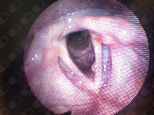 Amparo Sumano Gotoo-3