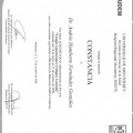 Ampliar imagen: certificate 3
