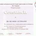 Ampliar imagen: certificate 95
