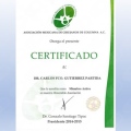 Ampliar imagen: certificate 4