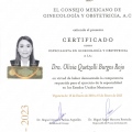 Ampliar imagen: certificate 3