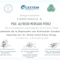 Ampliar imagen: certificate 1
