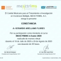 Ampliar imagen: certificate 19