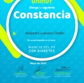 Ampliar imagen: certificate 3