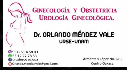 Orlando Méndez Vale-5