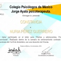 Ampliar imagen: certificate 5