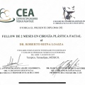 Ampliar imagen: certificate 4