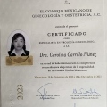 Ampliar imagen: certificate 5