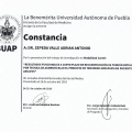 Ampliar imagen: certificate 7