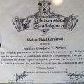 Ampliar imagen: certificate 4
