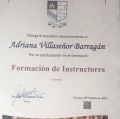 Ampliar imagen: certificate 8