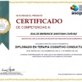 Ampliar imagen: certificate 22