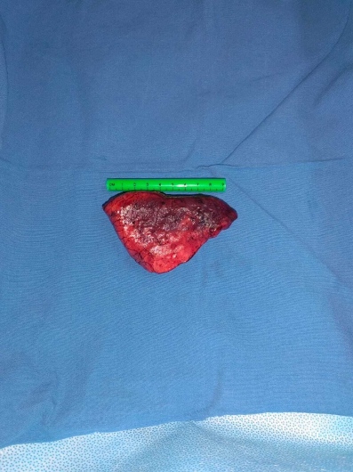 Francisco Javier Armas Zárate-0