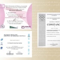 Ampliar imagen: certificate 29