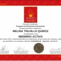 Ampliar imagen: certificate 28