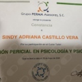 Ampliar imagen: certificate 6