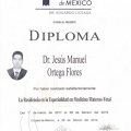 Ampliar imagen: certificate 10