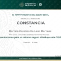 Ampliar imagen: certificate 8