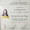 Ampliar imagen: certificate 2