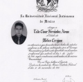 Ampliar imagen: certificate 4