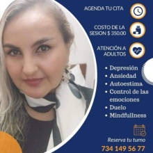 Ampliar imagen: Lic. En Psic. Alma Delia Pérez Pérez, Psicólogo Zacatepec