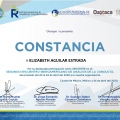 Ampliar imagen: certificate 5