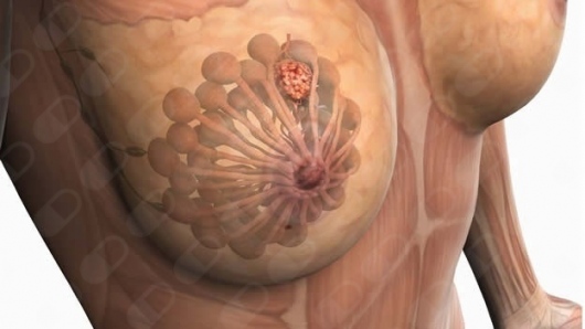 Jaime Kleiman Podlipsky-9