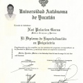 Ampliar imagen: certificate 5