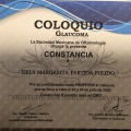 Ampliar imagen: certificate 15