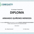 Ampliar imagen: certificate 23