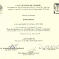 Ampliar imagen: certificate 8