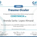 Ampliar imagen: certificate 2