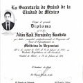 Ampliar imagen: certificate 3