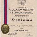 Ampliar imagen: certificate 7