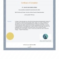 Ampliar imagen: certificate 51