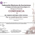 Ampliar imagen: certificate 56