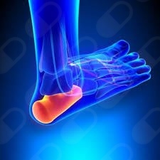 Gerardo Salazar Lopez-8