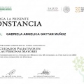 Ampliar imagen: certificate 6