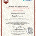 Ampliar imagen: certificate 4